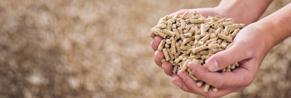 Pellets kaufen Laubach